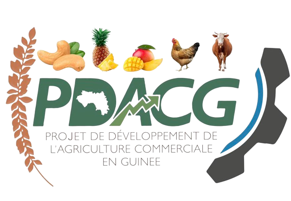 Partenaire du GDB